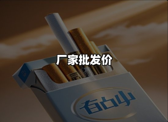 专业优势
